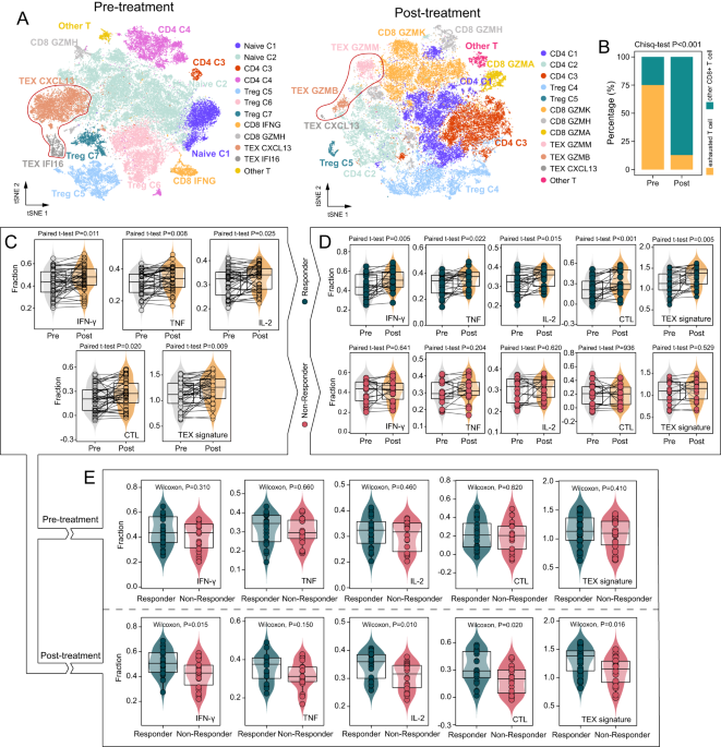 Deep learning identifies a T-cell exhaustion-dependent transcriptional signature for predicting clinical outcomes and response to immune checkpoint blockade