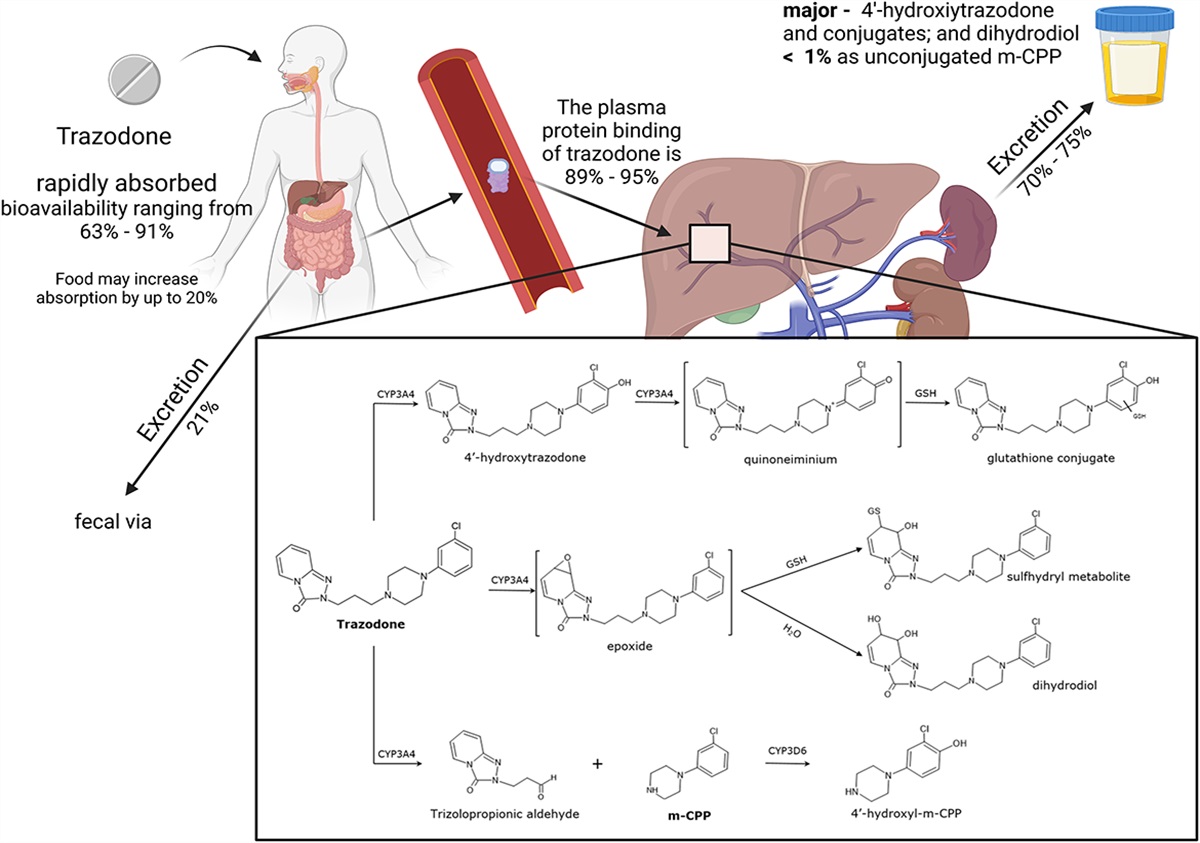 Influence of Genetic Polymorphisms on the Pharmacokinetics of Trazodone Hydrochloride: A Scoping Review and Future Perspective