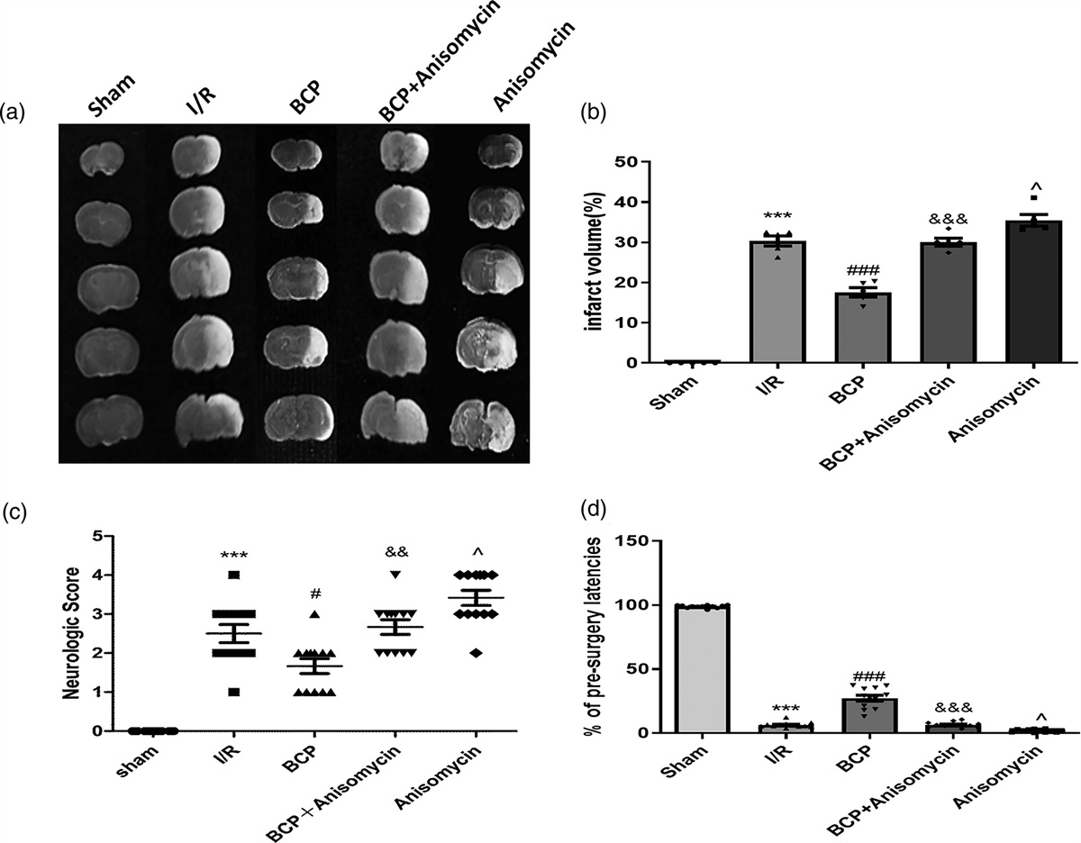 Neuroprotection of β-caryophyllene against cerebral ischemia/reperfusion injury by inhibiting P38 MAPK/NLRP3 signaling pathway