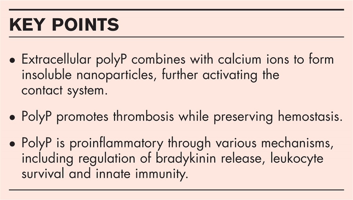 In-vivo functions and regulation of polyphosphate in the vascular system