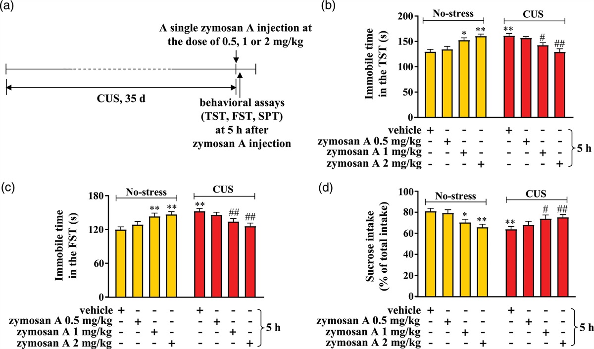 Zymosan A produces a rapid and sustained antidepressant effect in chronically stressed mice by stimulating hippocampal microglia