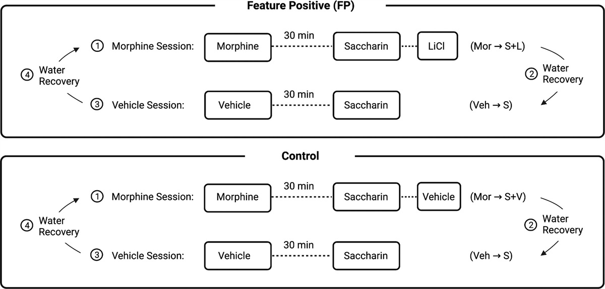 Serial feature positive and feature negative discrimination learning in a taste avoidance preparation: implications for interoceptive control of behavior