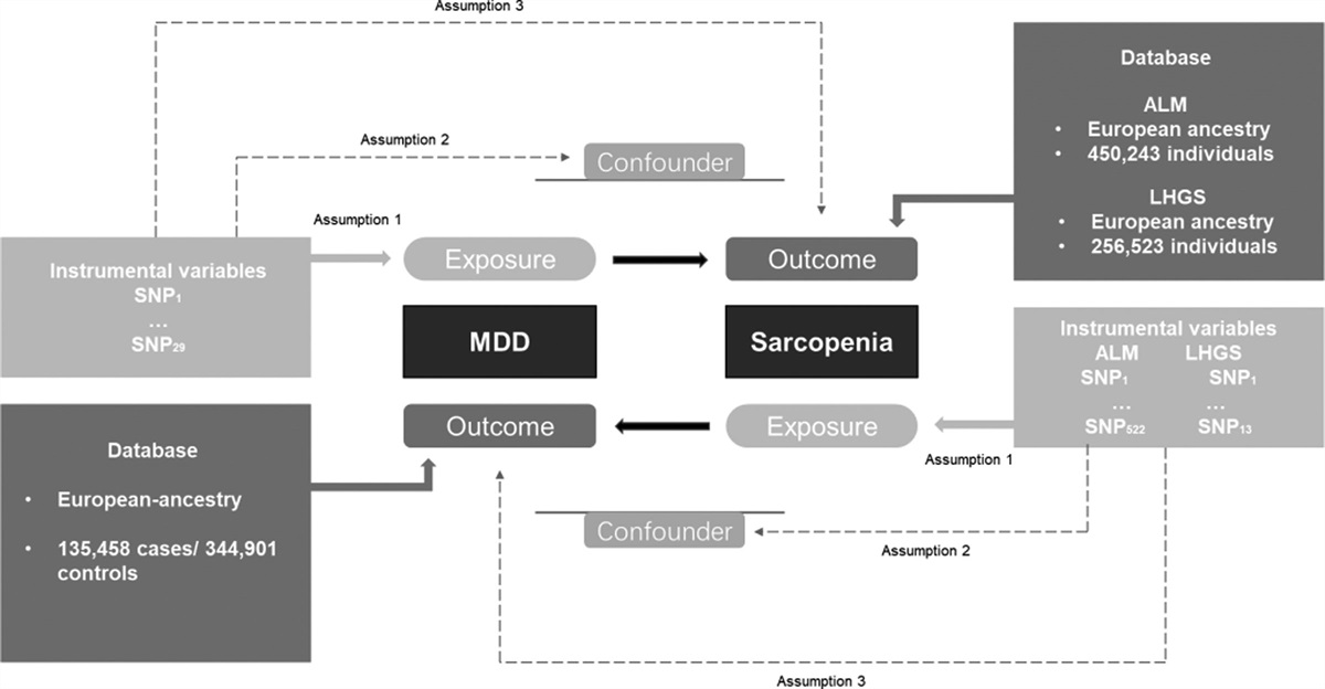 Depression and sarcopenia: a Mendelian randomization analysis