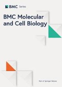BMP9 maintains the phenotype of HTR-8/Svneo trophoblast cells by activating the SDF1/CXCR4 pathway