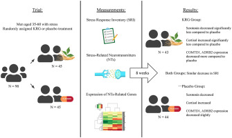 The effects of Korean Red Ginseng on stress-related neurotransmitters and gene expression: A randomized, double-blind, placebo-controlled trial