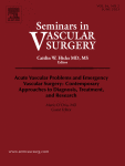 Considerations in the Application of Artificial Intelligence in Vascular Surgical Education