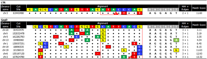 Preclinical safety and biodistribution of CRISPR targeting SIV in non-human primates