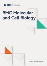 Keratin 19 binds and regulates cytoplasmic HNRNPK mRNA targets in triple-negative breast cancer