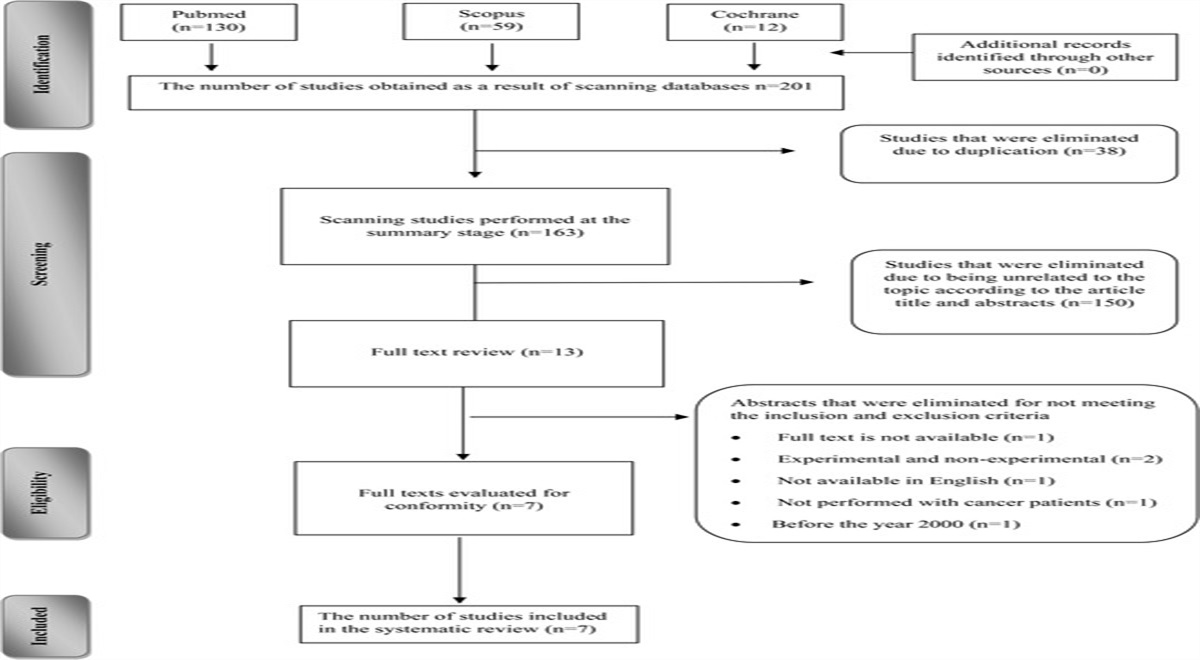 The Effect of Reiki on Pain Applied to Patients With Cancer: A Systematic Review