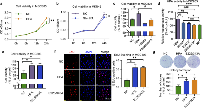 Correction: Non-enzymatic heparanase enhances gastric tumor proliferation via TFEB-dependent autophagy