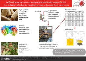 Optimization of fructose-rich syrups production from Opuntia ficus-indica inulin using immobilized inulinase on Luffa cylindrical