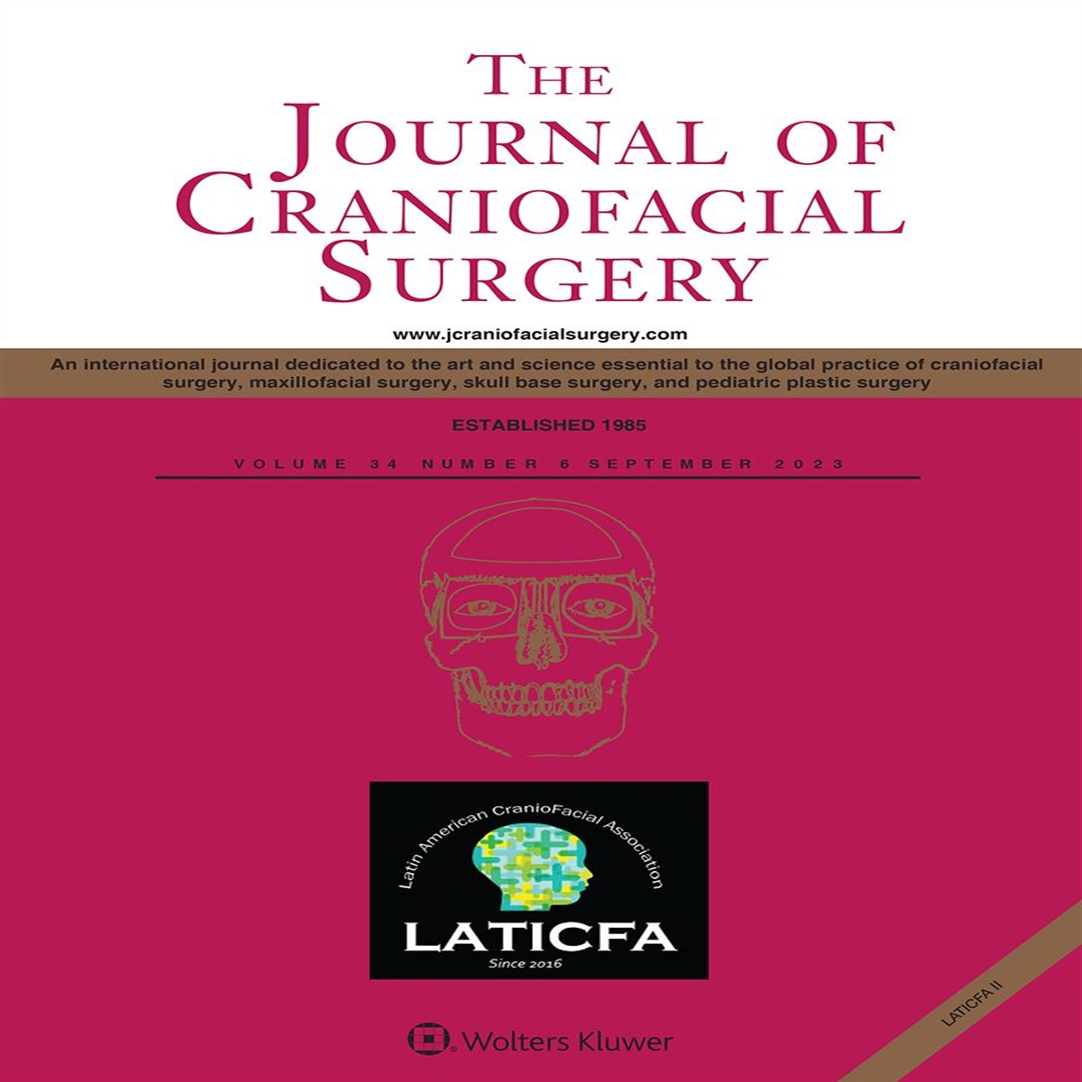 Clinical Characterization of Congenital Anophthalmic and Microphthalmic Cavities in Inidviduals With Craniofacial Anomalies