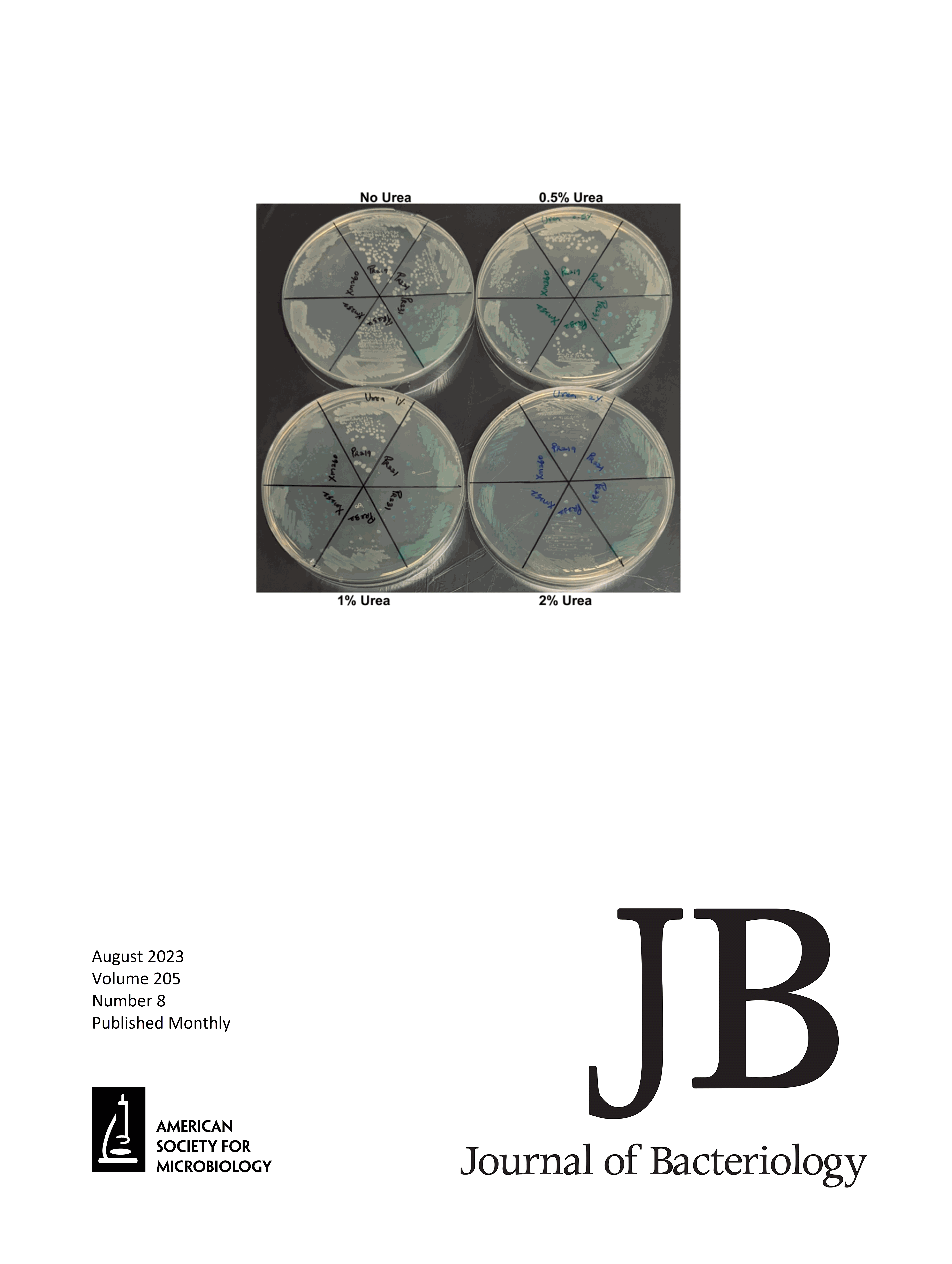 The Arabinose 5-Phosphate Isomerase KdsD Is Required for Virulence in Burkholderia pseudomallei