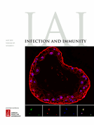 Apolipoprotein E genotype affects innate susceptibility to Listeria monocytogenes infection in aged male mice