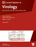 Editorial overview: Viruses and Cancer