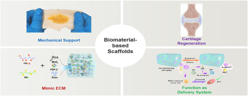 Biomaterial-based scaffolds in promotion of cartilage regeneration: Recent advances and emerging applications