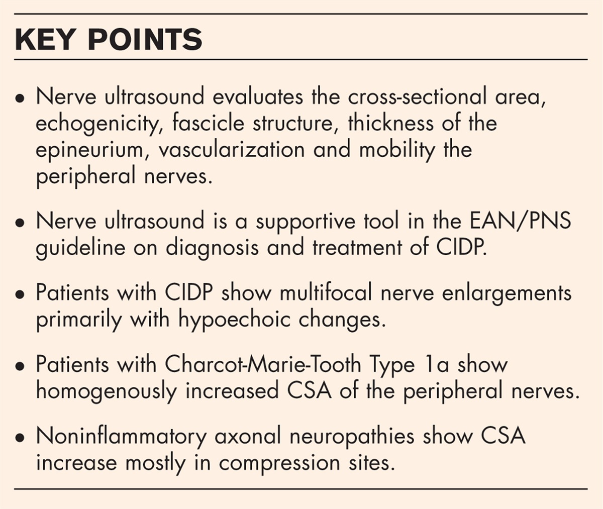 Nerve ultrasound for the diagnosis and follow-up of peripheral neuropathies
