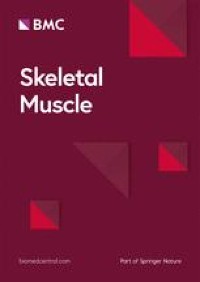 Sox11 is enriched in myogenic progenitors but dispensable for development and regeneration of the skeletal muscle