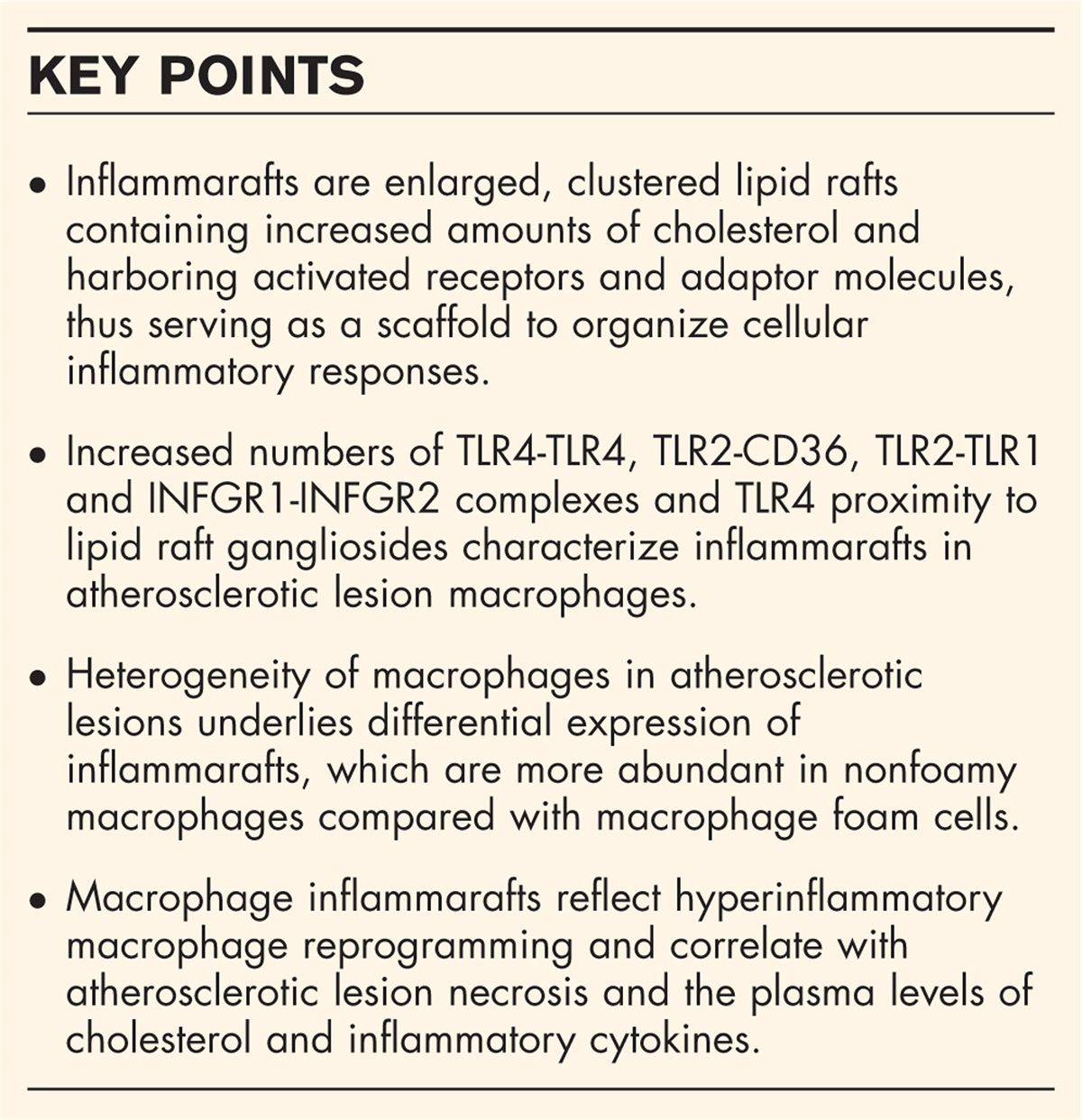 Macrophage inflammarafts in atherosclerosis