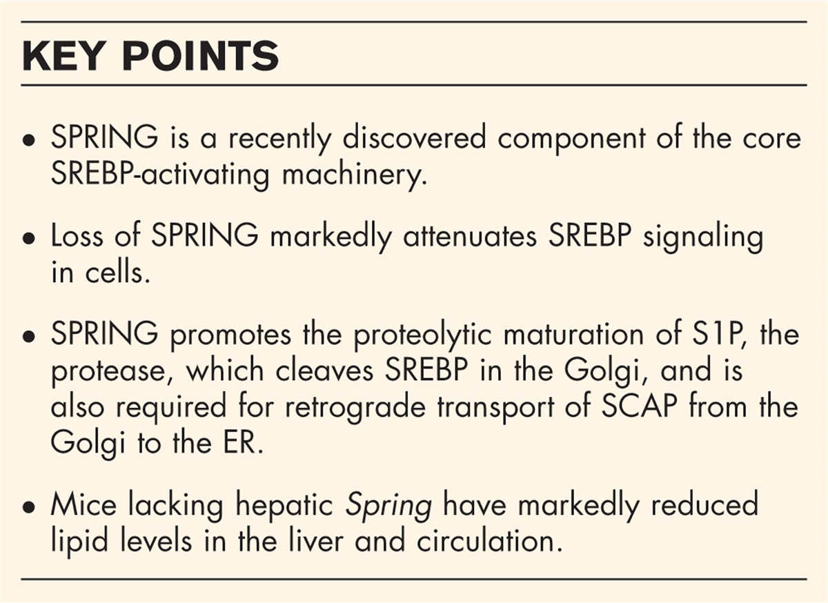A new SPRING in lipid metabolism