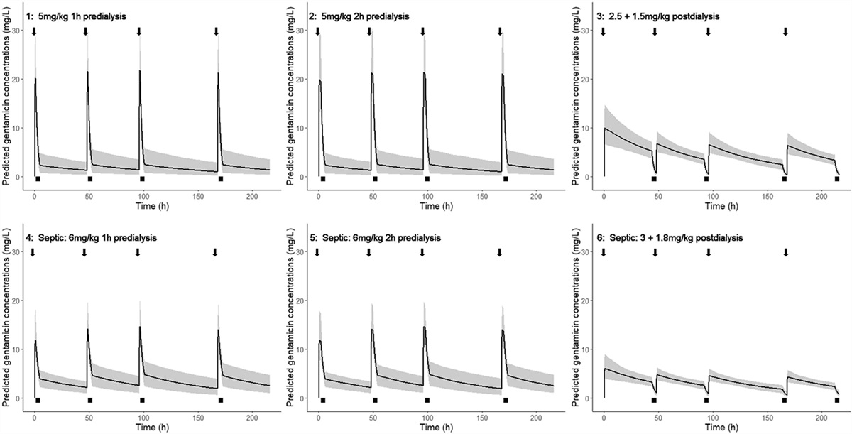 Gentamicin Administration in Dialysis Patients: Before or After Hemodialysis?