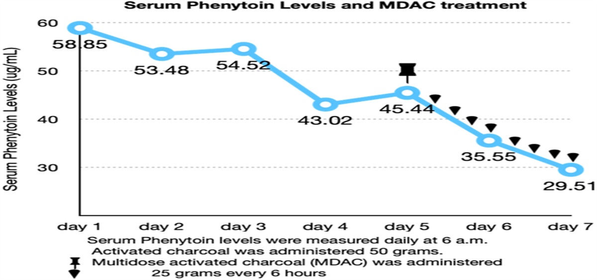 Phenytoin Intoxication in a Patient Receiving a Therapeutic Dose for Postoperative Seizure Prophylaxis: A Case Study