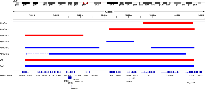DNA methylation profiles in individuals with rare, atypical 7q11.23 CNVs correlate with GTF2I and GTF2IRD1 copy number