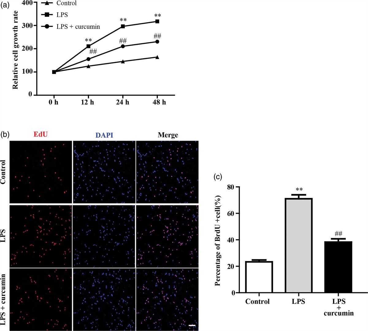 Curcumin protects from LPS-induced activation of astrocytes via AMPK pathway