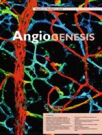 Targeting the microenvironment in the treatment of arteriovenous malformations