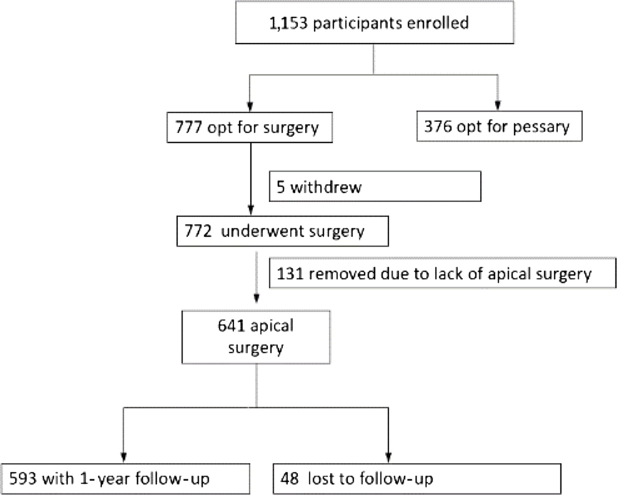 Twelve Month Outcomes of Pelvic Organ Prolapse Surgery in Patients With Uterovaginal or Posthysterectomy Vaginal Prolapse Enrolled in the Multicenter Pelvic Floor Disorders Registry