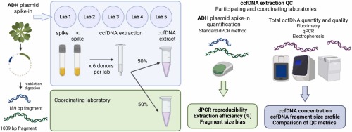 Interlaboratory evaluation of quality control methods for circulating cell-free DNA extraction
