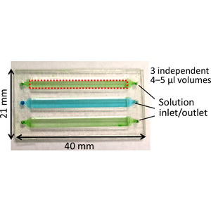A user-friendly plug-and-play cyclic olefin copolymer-based microfluidic chip for room-temperature, fixed-target serial crystallography