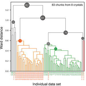 Elucidating polymorphs of crystal structures by intensity-based hierarchical clustering analysis of multiple diffraction data sets
