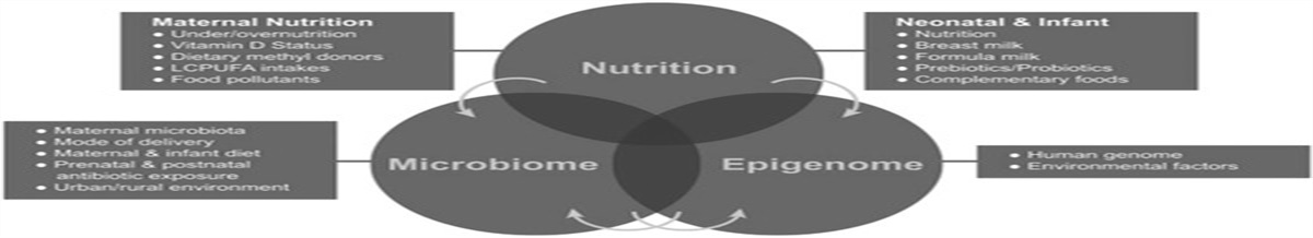 Impact of Early Nutrition on the Gut Microbiome: Health Outcomes and Disease in Infants and Children