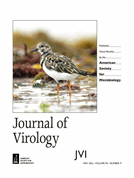 Electron microscopy mapping of the DNA-binding sites of monomeric, dimeric, and multimeric KSHV RTA protein