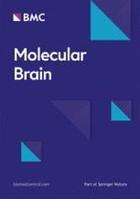 Novelty-induced memory consolidation is accompanied by increased Agap3 transcription: a cross-species study