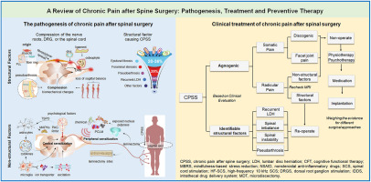Chronic pain after spine surgery: Insights into pathogenesis, new treatment, and preventive therapy