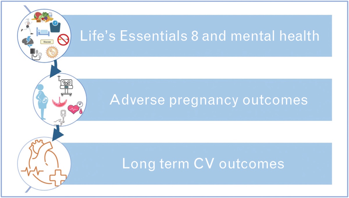Cardiovascular risk stratification in young women: the pivotal role of pregnancy