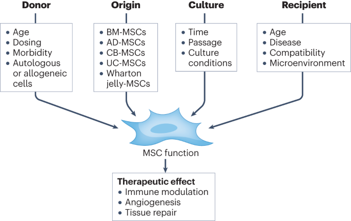MSC therapy for diabetic kidney disease and nephrotic syndrome