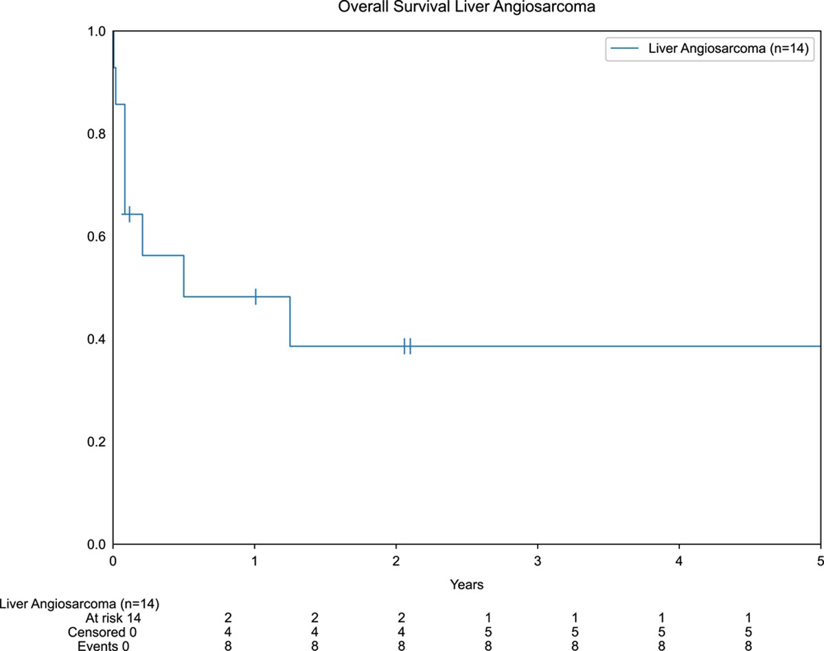 Management Strategies and Outcomes in Primary Liver Angiosarcoma