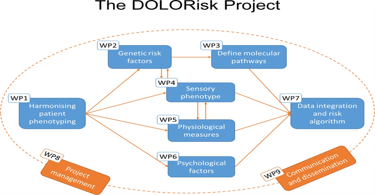 Big data, big consortia, and pain: UK Biobank, PAINSTORM, and DOLORisk