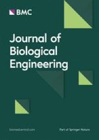 Biomolecular and cellular effects in skin wound healing: the association between ascorbic acid and hypoxia-induced factor