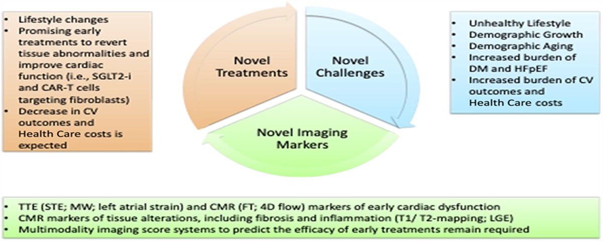 Advanced Imaging Guiding Early Sodium–Glucose Cotransporter-2 Inhibitor Therapy: An Outlook to the Future?