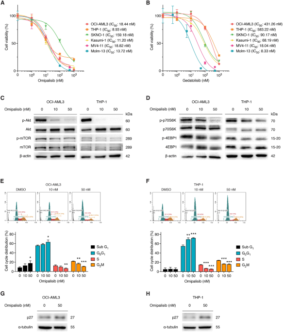 Anti-leukemia effects of omipalisib in acute myeloid leukemia: inhibition of PI3K/AKT/mTOR signaling and suppression of mitochondrial biogenesis