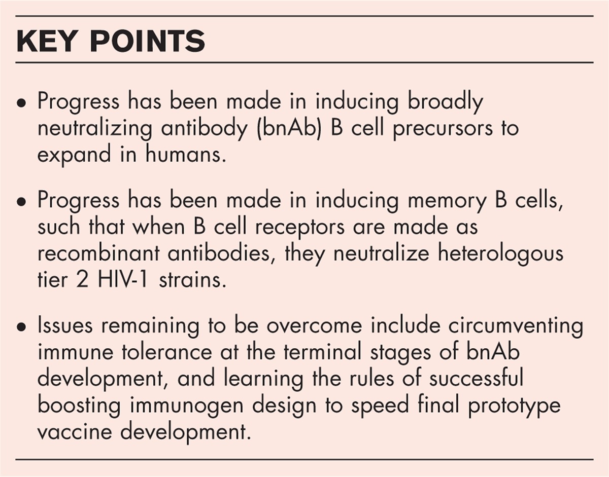 Progress with induction of HIV broadly neutralizing antibodies in the Duke Consortia for HIV/AIDS Vaccine Development