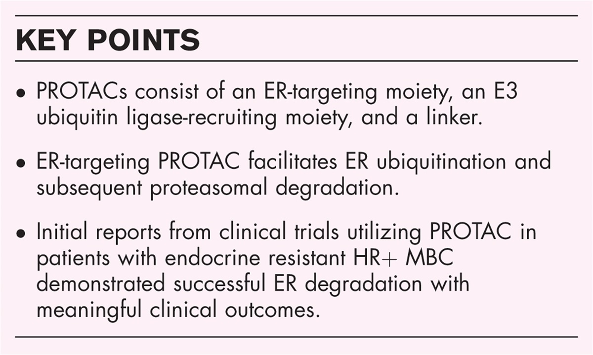Clinician's guide to targeted estrogen receptor degradation using PROTAC in patients with estrogen receptor-positive metastatic breast cancer