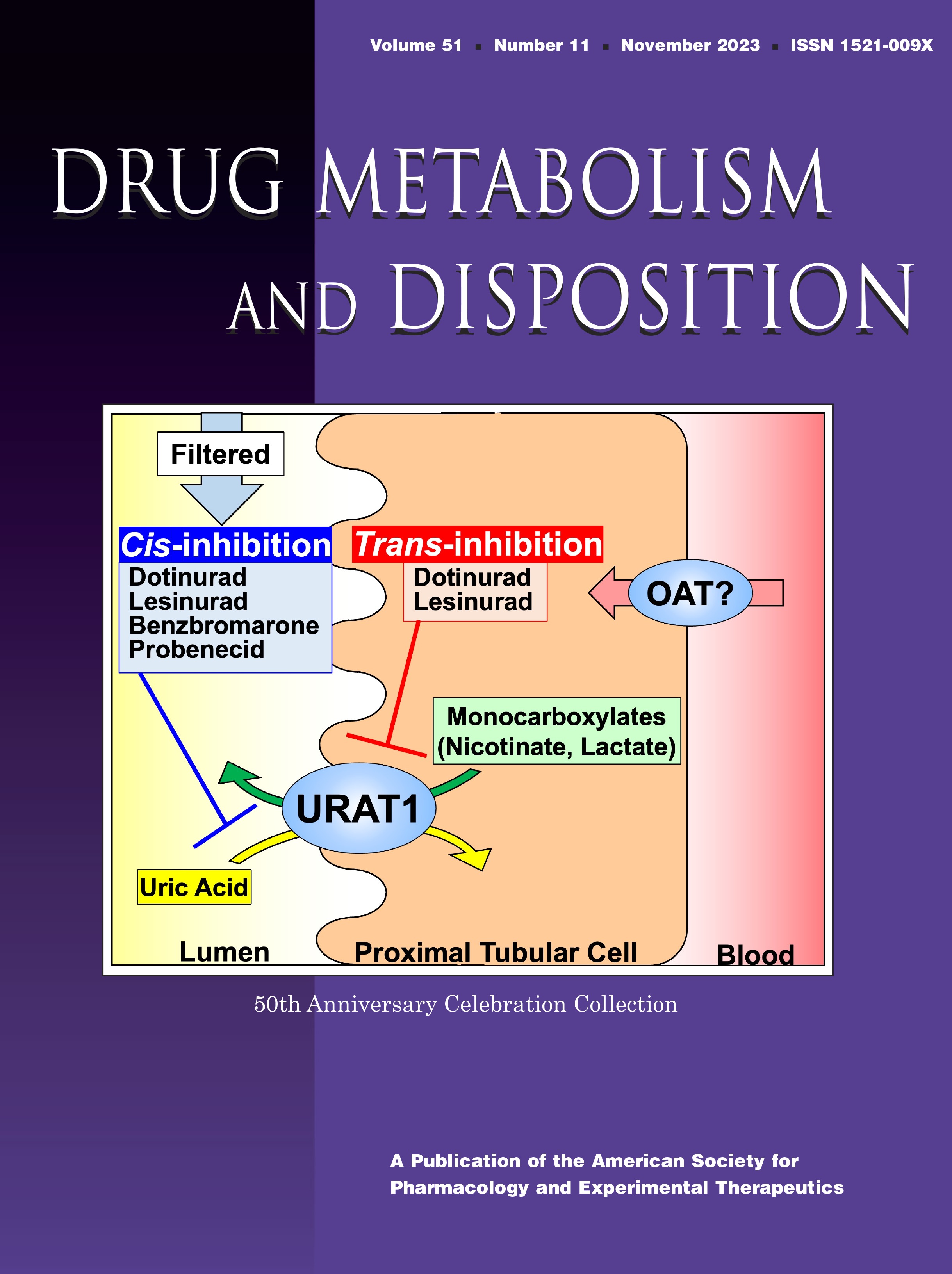 Metabolism and Excretion of Therapeutic Peptides: Current Industry Practices, Perspectives, and Recommendations [50th Anniversary Celebration Collection-Minireview]