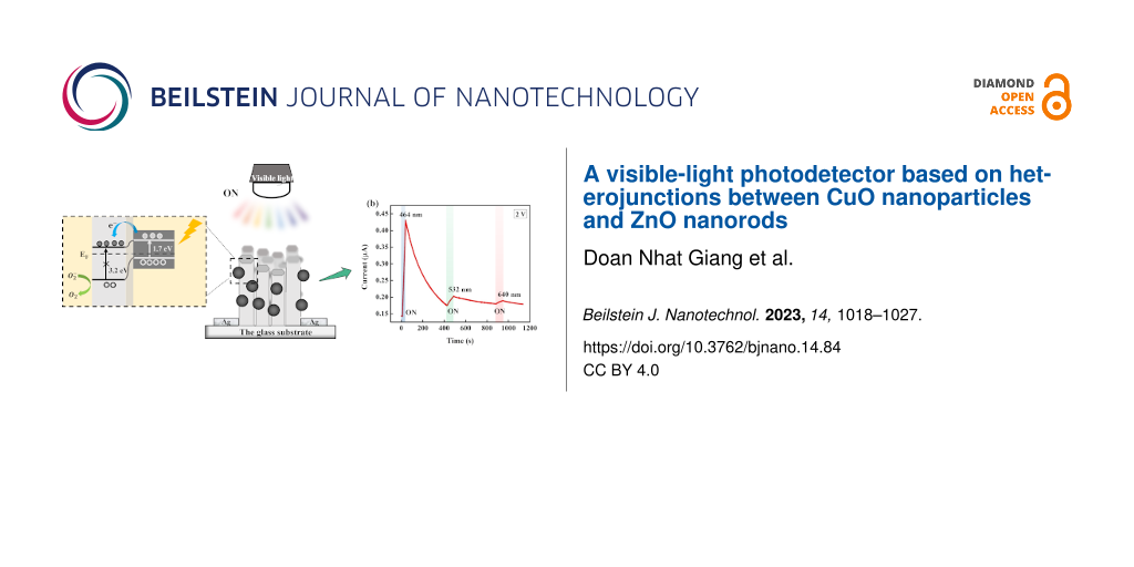A visible-light photodetector based on heterojunctions between CuO nanoparticles and ZnO nanorods