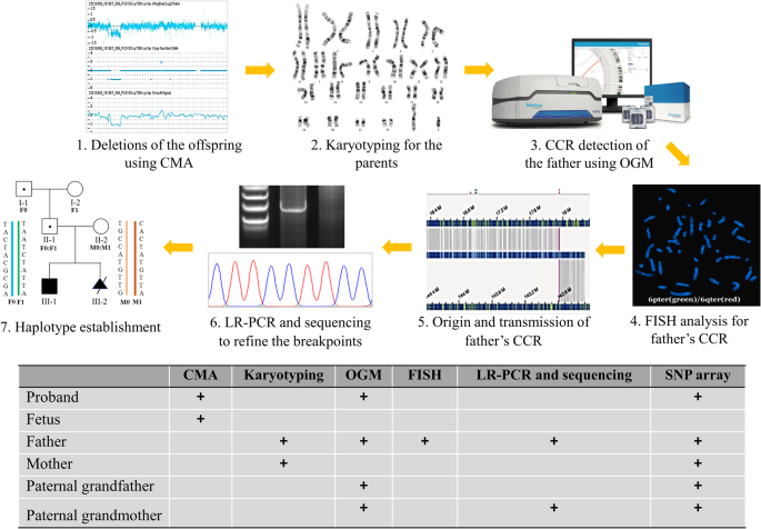 Analysis of complex chromosomal rearrangement involving chromosome 6 via the integration of optical genomic mapping and molecular cytogenetic methodologies