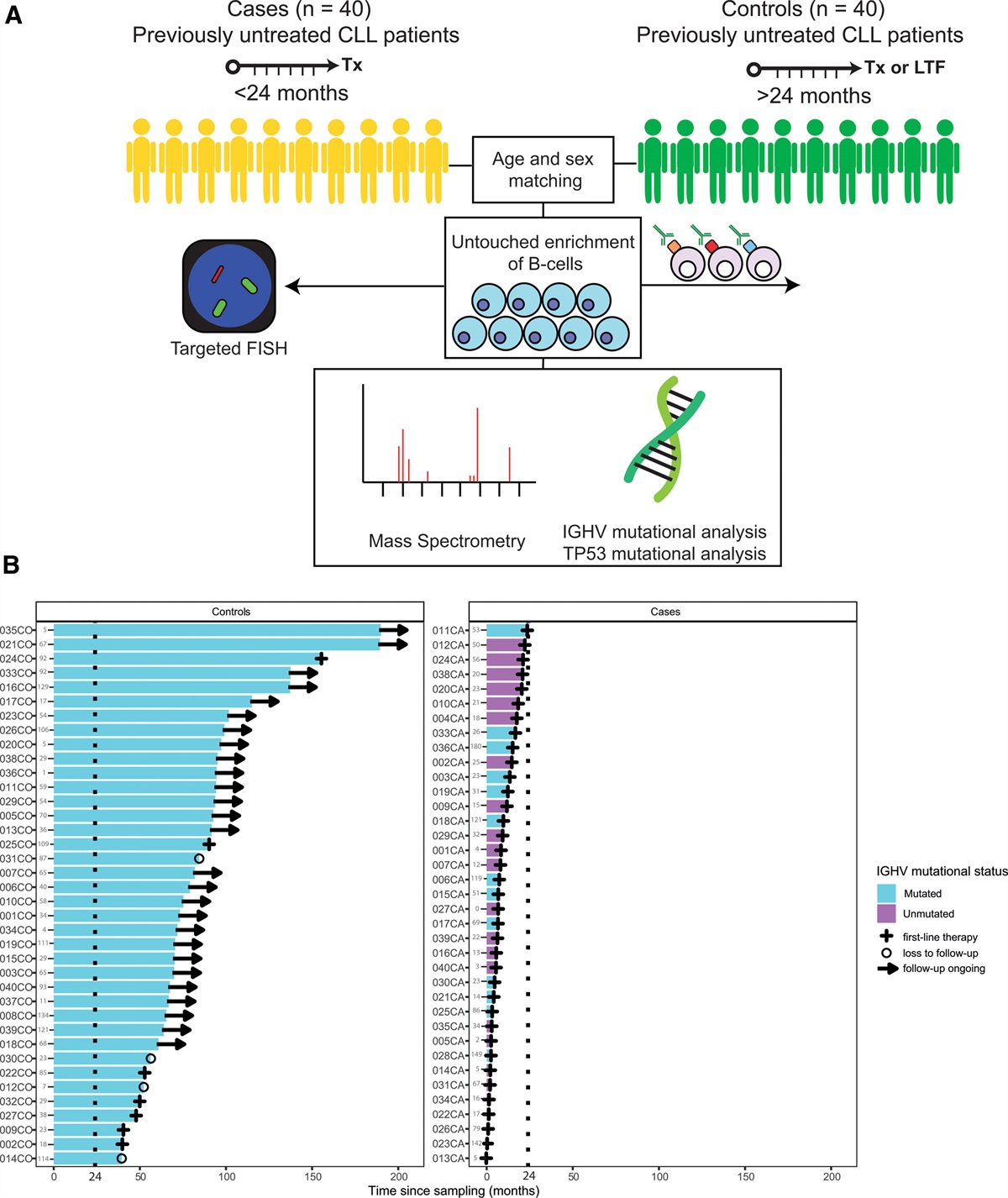 High-throughput Proteomics Identifies THEMIS2 as Independent Biomarker of Treatment-free Survival in Untreated CLL